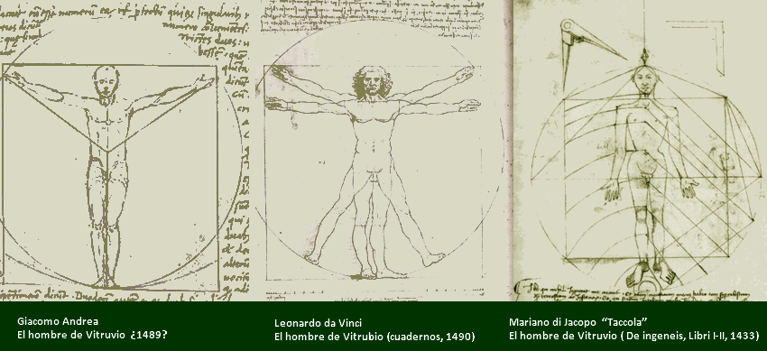 comparativa del hombre de Vitruvio